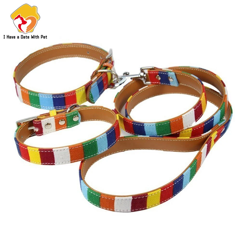 Tech Dog Accessories - (1 collar+1 leash) S M L