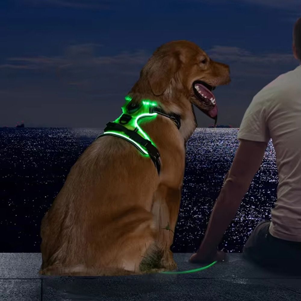 Light Up LED Dog Harness Recha - Tech Dog Accessories 评论和价格