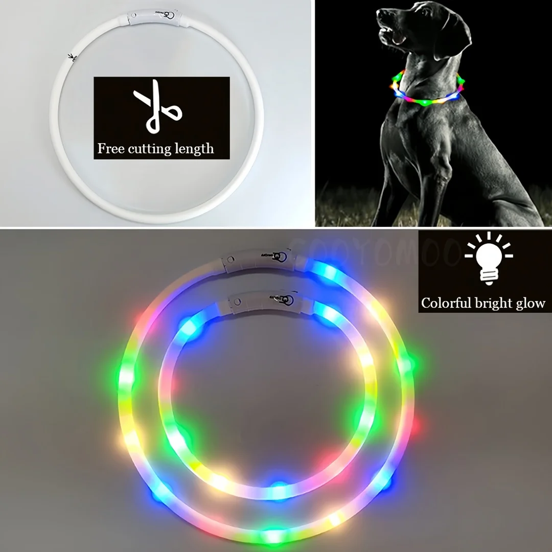 New Led Luminous Dog Collar 4  - Tech Dog Accessories 评论和价格