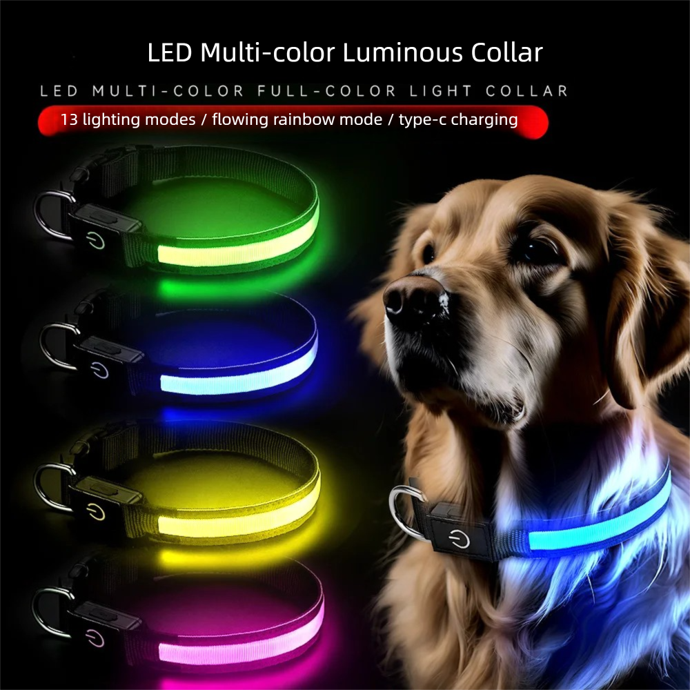 LED Dog Collar USB Rechargeabl - Tech Dog Accessories 评论和价格