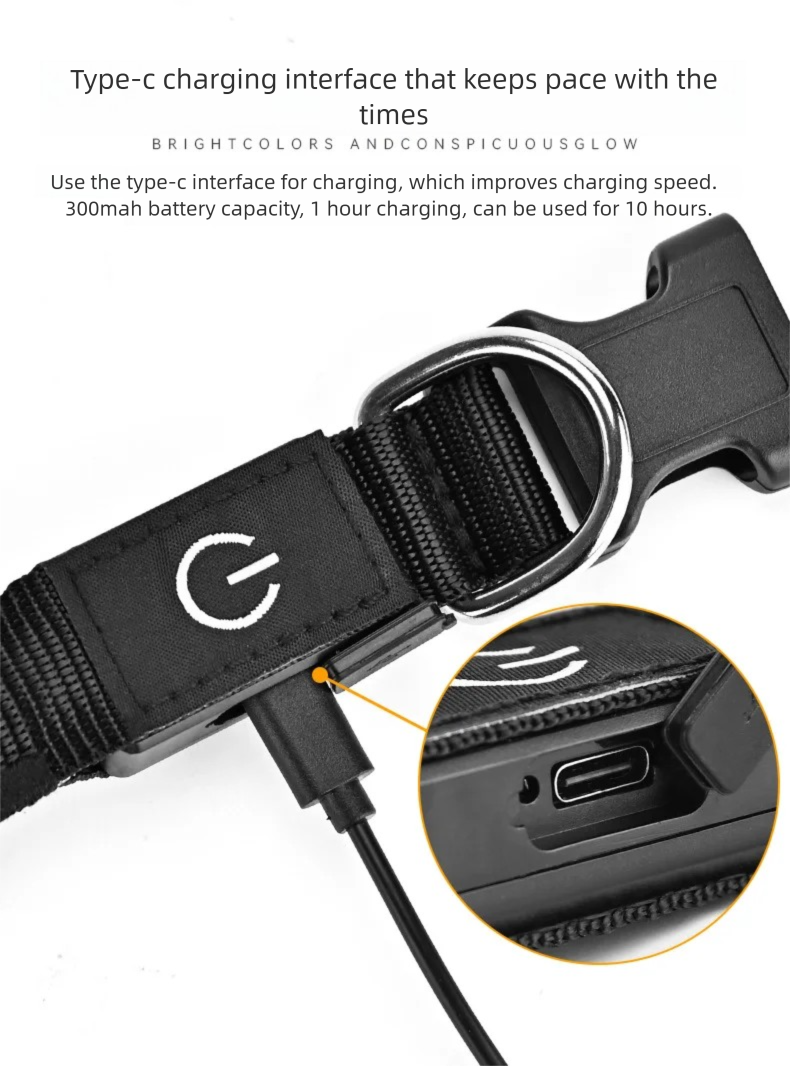 LED Dog Collar USB Rechargeabl - Tech Dog Accessories 评论和价格