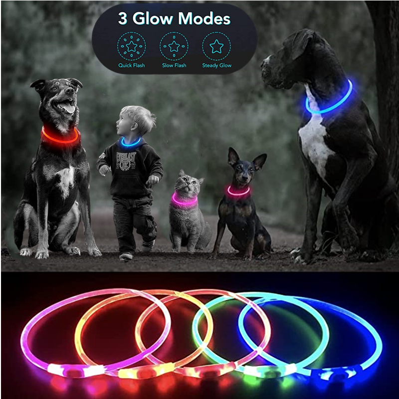 Luminous Dog Collar Light Char - Tech Dog Accessories 评论和价格