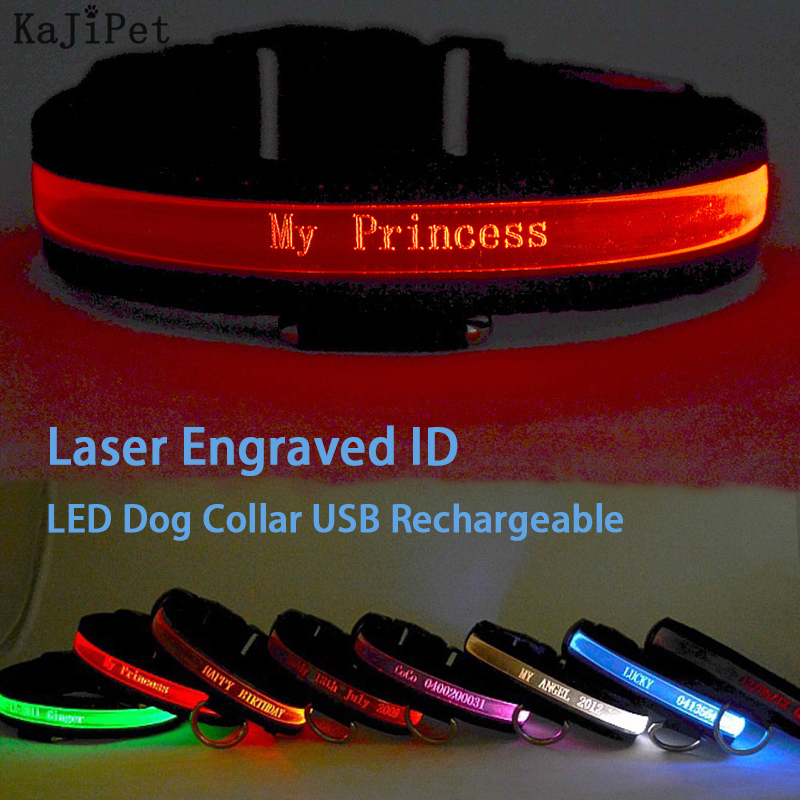 Engraved ID LED Dog Collar Lum - Tech Dog Accessories 评论和价格