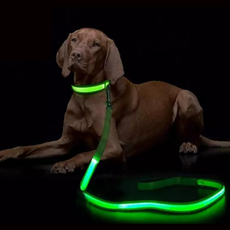 LED Light Up Dog Leash Luminou - Tech Dog Accessories 评论和价格
