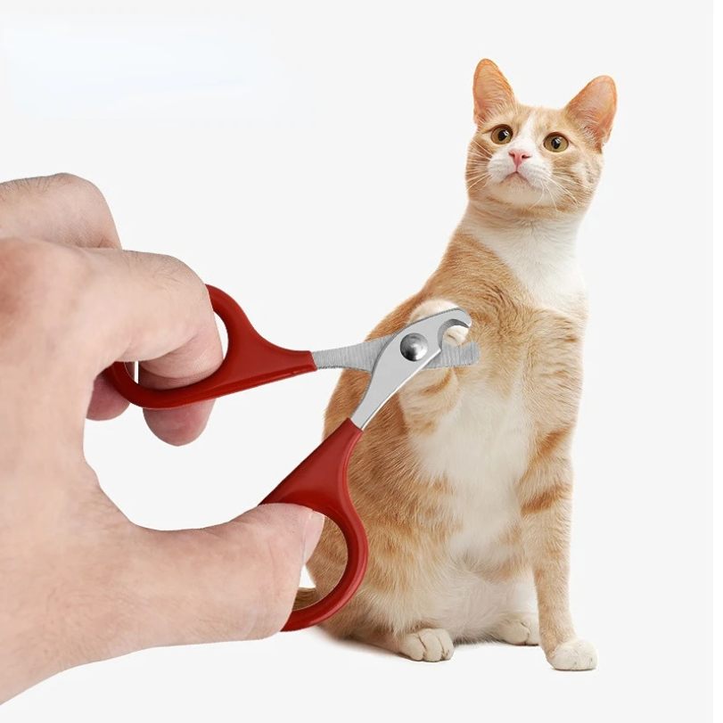 Professional Cat Nail Scissors - Tech Dog Accessories 评论和价格